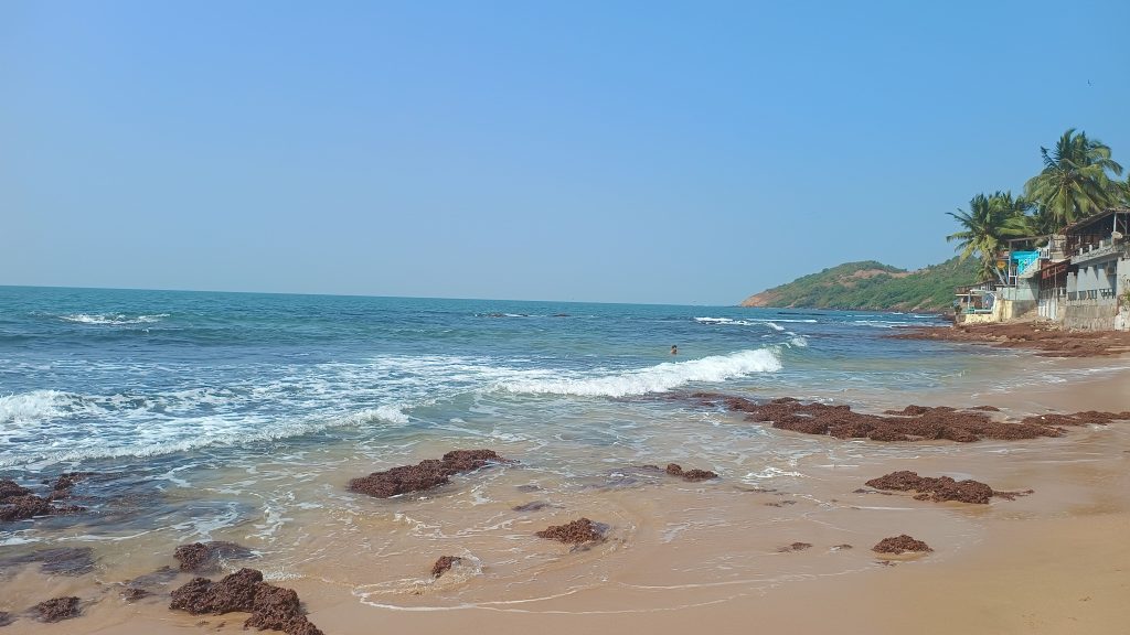 Calangute Beach​ img